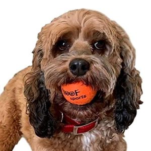 small TENNIS BALLS for Dogs by WOOF SPORTS (1.9″) – 12 Orange, Premium and Strong Mini Tennis Balls for Small Dogs and Puppies. Includes Mesh Carrying Bag